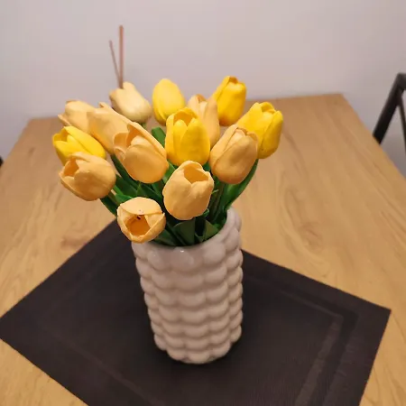 Banjski 아파트 Vrnjačka Banja