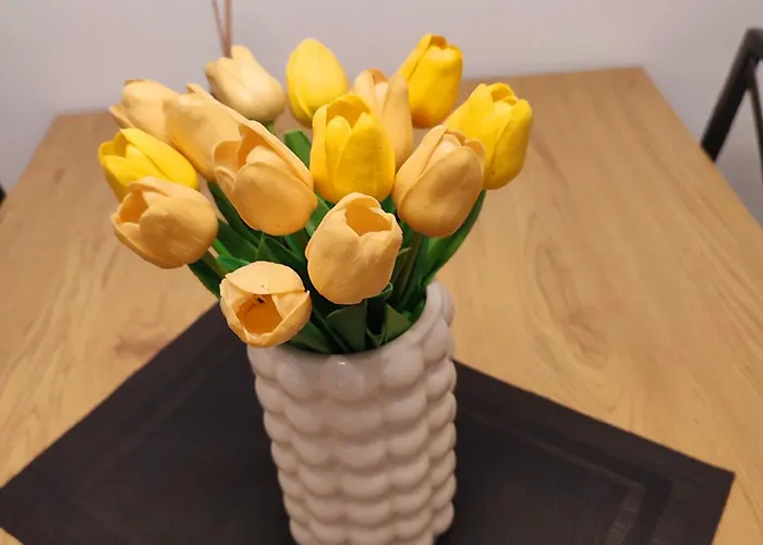 Banjski Apartman Vrnjačka Banja